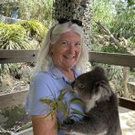  Bingo Koala, Gorge Wildlife Park South Australia.5